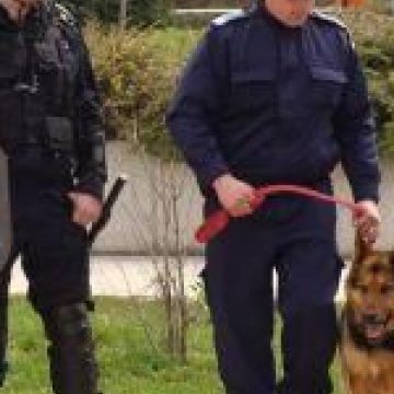 Peste 200 de angajaţi teritoriali ai MAI vor asigura măsurile de pază, ordine şi linişte publică