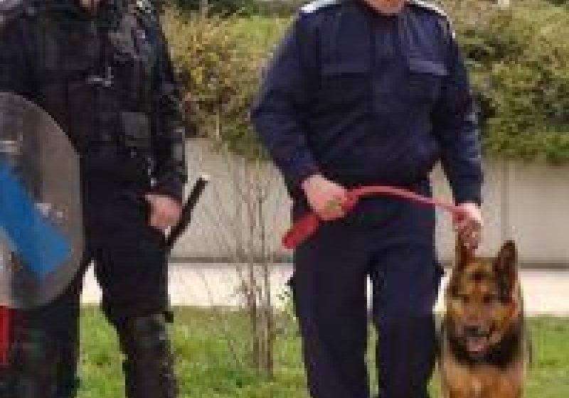 Peste 200 de angajaţi teritoriali ai MAI vor asigura măsurile de pază, ordine şi linişte publică