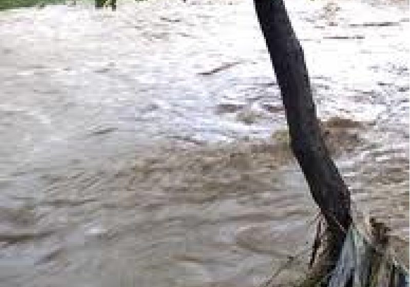Maramureş: Precipitaţii abundente la Fereşti şi Ocna Şugatag