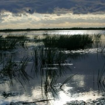 Prognoza meteo pentru miercuri şi joi
