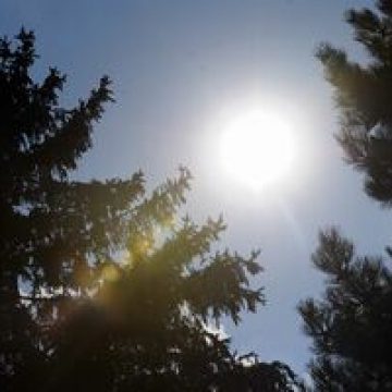 Regimul termic al aerului va înregistra valori peste mediile multianuale lunare, în august