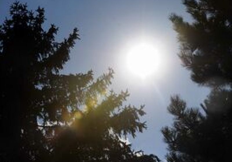 Regimul termic al aerului va înregistra valori peste mediile multianuale lunare, în august
