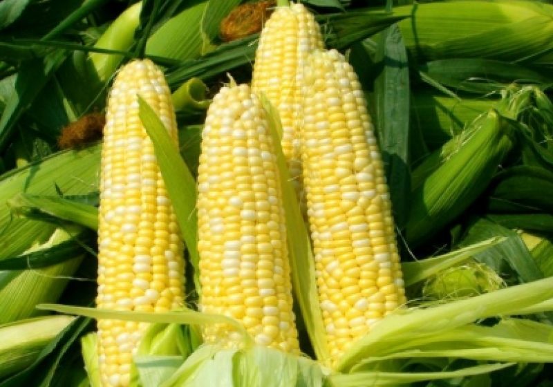România a exportat produse agroalimentare de 1,19 miliarde de euro, în creştere cu 55% în primele cinci luni