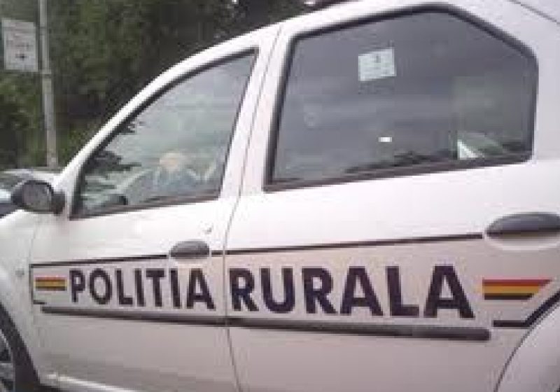 Scandaluri aplanate de către poliţiştii de la formaţiunile rurale din Ulmeni, Fărcaşa şi Suciu de Sus