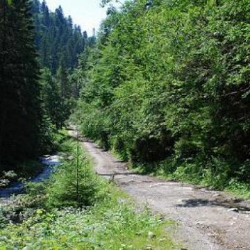 Un bărbat de 60 de ani a căzut de pe o stâncă în Munţii Rodnei Un bărbat de 60 de ani a căzut de pe o stâncă în Munţii Rodnei
