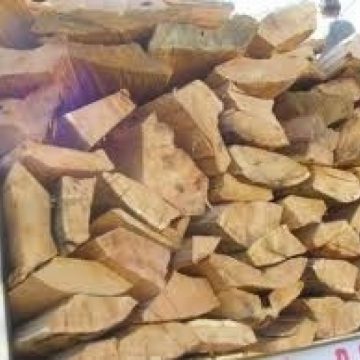 20 de buşteni de brad tăiaţi ilegal pe raza localităţii Suciu de Sus,  identificaţi de către poliţiştii secţiei rurale 7