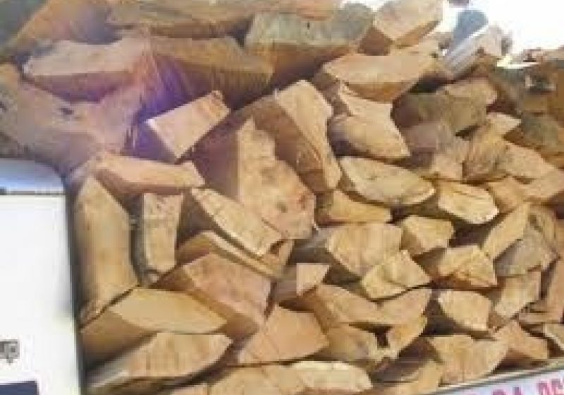 20 de buşteni de brad tăiaţi ilegal pe raza localităţii Suciu de Sus, identificaţi de către poliţiştii secţiei rurale 7 20 de buşteni de brad tăiaţi ilegal pe raza localităţii Suciu de Sus, identificaţi de către poliţiştii secţiei rurale 7