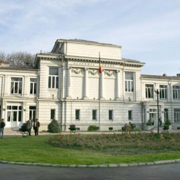 Academia Română nu a convenit încă forma în care va modifica, în DEX, sensul cuvintelor ţigan şi jidan