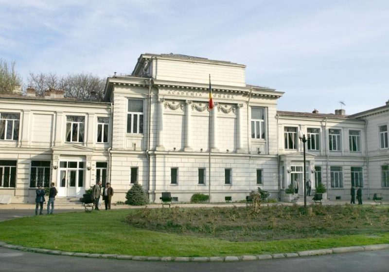 Academia Română nu a convenit încă forma în care va modifica, în DEX, sensul cuvintelor ţigan şi jidan