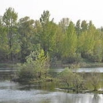 Actiuni poliţieneşti pe linia resurselor minerale