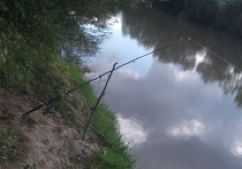 Asociaţia Judeţeană a Vânătorilor şi Pescarilor Sportivi Maramureş, filiala Sighet are de astăzi o nouă conducere Asociaţia Judeţeană a Vânătorilor şi Pescarilor Sportivi Maramureş, filiala Sighet are de astăzi o nouă conducere