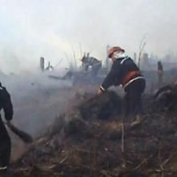 Atentionari privind incendierea vegetatiei uscate! Atentionari privind incendierea vegetatiei uscate!