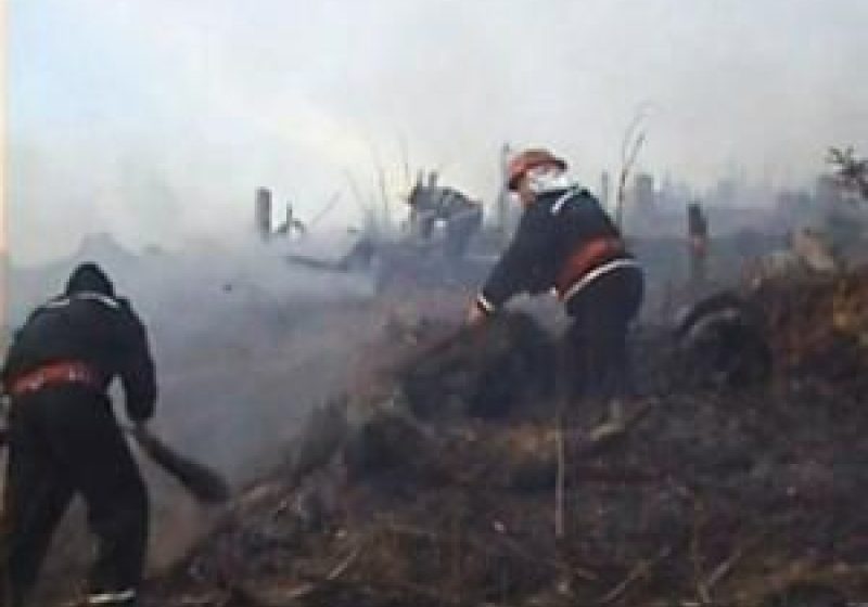 Atentionari privind incendierea vegetatiei uscate! Atentionari privind incendierea vegetatiei uscate!