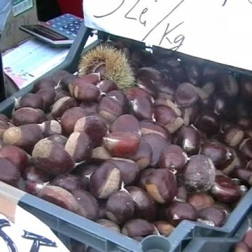 Baia Mare: Castane puţine şi scumpe la Sărbătoarea Castanelor
