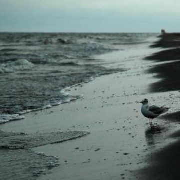 De la 1 septembrie, preţuri mai mici pe Litoral