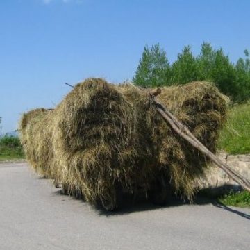O remorcă plină cu fân s-a răsturnat provocând rănirea unui bărbat la Şurdeşti