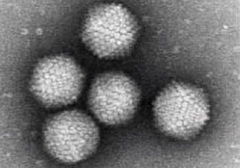Hepatitele virale B şi C provoacă decesul a aproximativ un milion de oameni anual, în întreaga lume