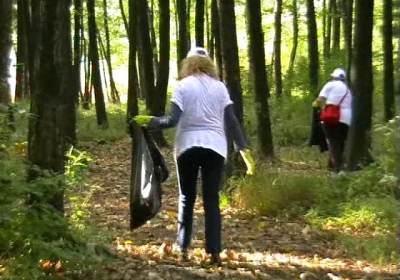 Baia Mare: Peste 15.000 de voluntari maramureşeni participă astăzi la acţiunea de curăţenie "Let’s do it România" Baia Mare: Peste 15.000 de voluntari maramureşeni participă astăzi la acţiunea de curăţenie "Let’s do it România"