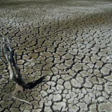 România poate înregistra pierderi agricole dacă seceta nu dispare după 2 octombrie