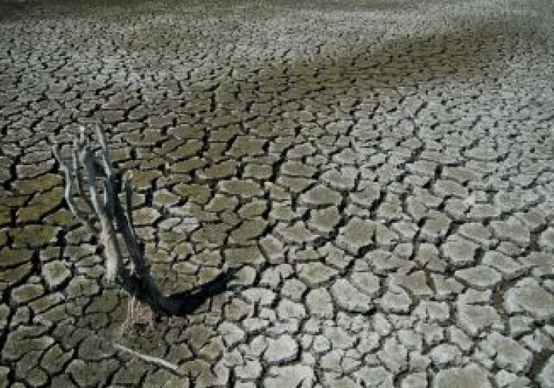 România poate înregistra pierderi agricole dacă seceta nu dispare după 2 octombrie România poate înregistra pierderi agricole dacă seceta nu dispare după 2 octombrie