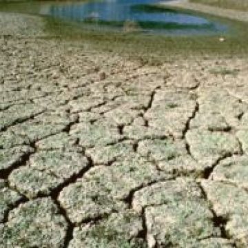 Seceta afectează sever gospodăriile din Maramureş