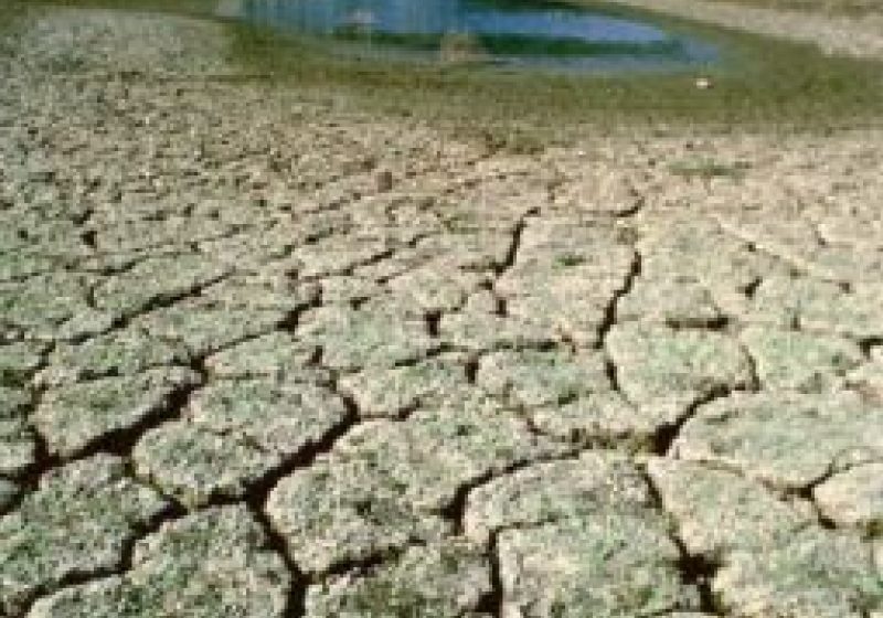 Seceta afectează sever gospodăriile din Maramureş