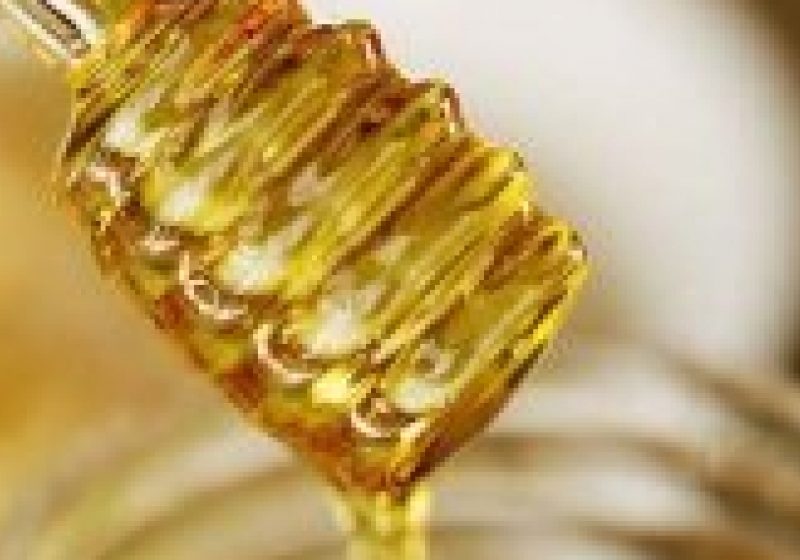 SIGHET. Sighetenii s-au strâns "roi"în jurul standurilor cu produse apicole, azi la Târgul Mierii de Albine