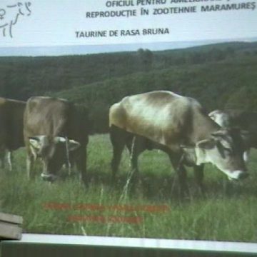 Baia Mare: Subprefectul de Maramureş propune o secţie de Zootehnie la Universitatea de Nord Baia Mare: Subprefectul de Maramureş propune o secţie de Zootehnie la Universitatea de Nord