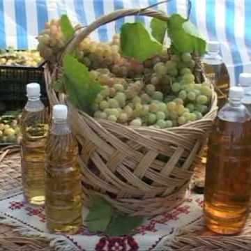 Berchez: Struguri şi vin din belşug la Balul Strugurilor