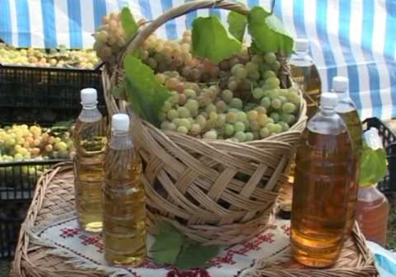 Berchez: Struguri şi vin din belşug la Balul Strugurilor