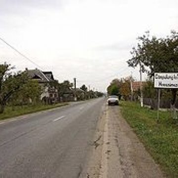 Ce spun agricultorii din Câmpulung la Tisa despre situatia cultivarii verzei Ce spun agricultorii din Câmpulung la Tisa despre situatia cultivarii verzei