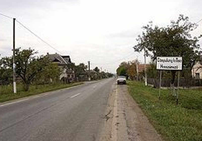 Ce spun agricultorii din Câmpulung la Tisa despre situatia cultivarii verzei Ce spun agricultorii din Câmpulung la Tisa despre situatia cultivarii verzei