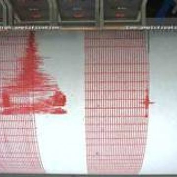 Cutremur de 4,8 grade resimţit în Bucureşti
