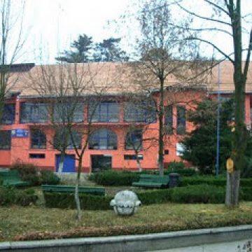 Baia Mare: Susana Vlaicu este noul inspector general adjunct al Inspectoratului Şcolar Maramureş