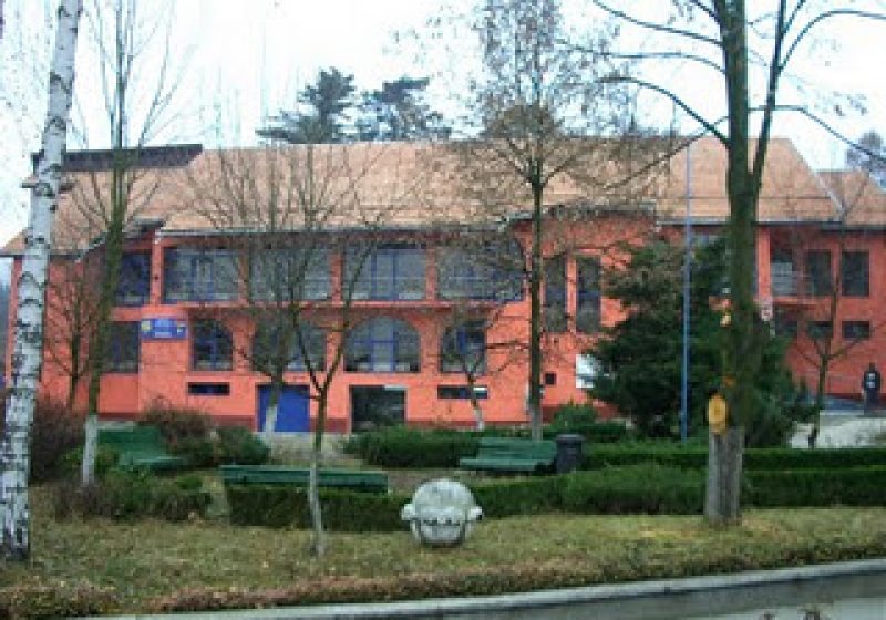 Baia Mare: Susana Vlaicu este noul inspector general adjunct al Inspectoratului Şcolar Maramureş