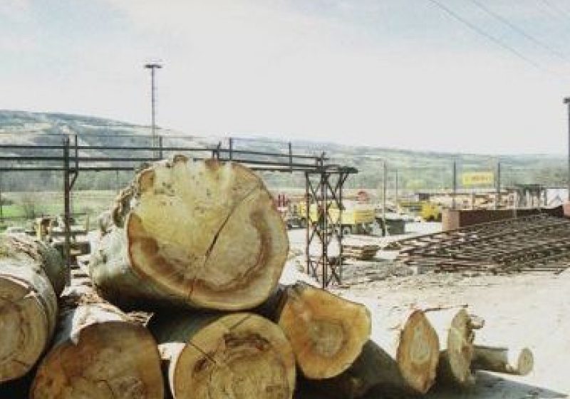 La furat de lemne în apropierea localităţii Ardusat La furat de lemne în apropierea localităţii Ardusat