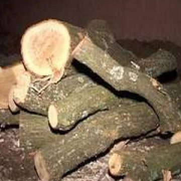 Prins cu lemnul furat în Ocna Şugatag