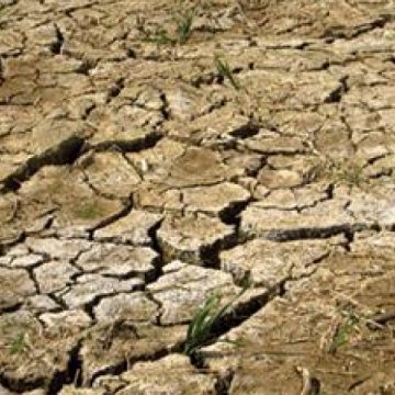 Prognoză agrometeorologică: Seceta pedologică se accentuează, precipitaţii slabe în următorul interval