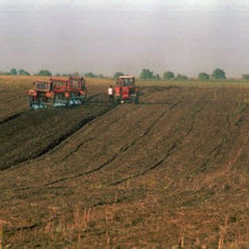 România a absorbit 30% din fondurile europene pentru dezvoltare rurală alocate până 2013