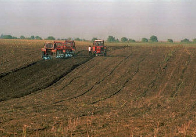 România a absorbit 30% din fondurile europene pentru dezvoltare rurală alocate până 2013 România a absorbit 30% din fondurile europene pentru dezvoltare rurală alocate până 2013