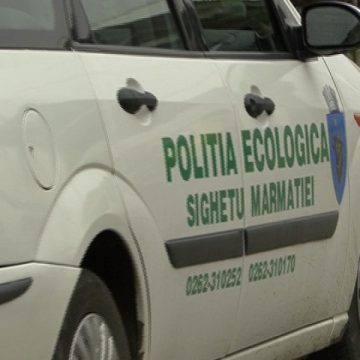 SIGHET: Poliţia Ecologică a îniţiat campania "Ziua reciclării" SIGHET: Poliţia Ecologică a îniţiat campania "Ziua reciclării"
