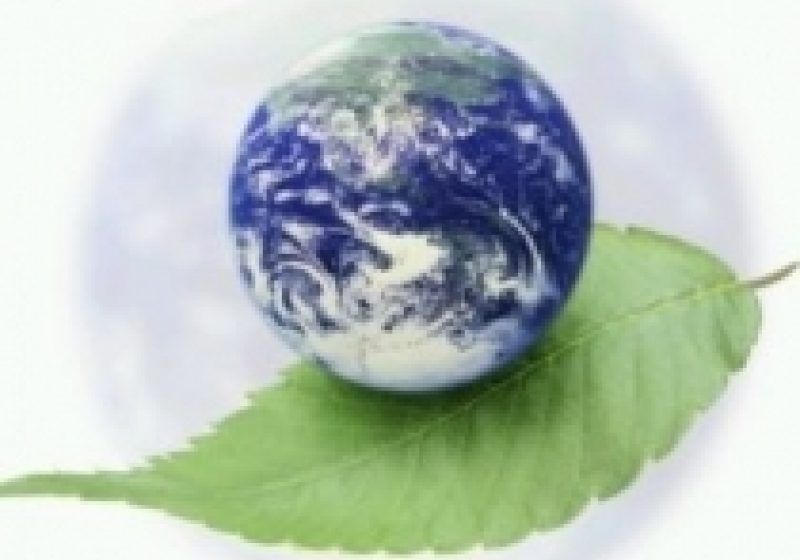 SIGHET:Activităţi de ecologizare de Ziua Reciclării SIGHET:Activităţi de ecologizare de Ziua Reciclării