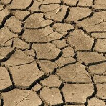 ONU avertizează: 25% din suprafaţa pământului este foarte degradată ONU avertizează: 25% din suprafaţa pământului este foarte degradată
