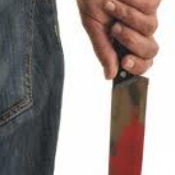 Tănărul din Bârsana care şi-a ucis mama şi şi-a adus tatăl în stare gravă pe patul spitalului, acuzat în instanţă de omor calificat Tănărul din Bârsana care şi-a ucis mama şi şi-a adus tatăl în stare gravă pe patul spitalului, acuzat în instanţă de omor calificat