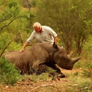 Aproape 25.000 de plante şi animale pe cale de dispariţie