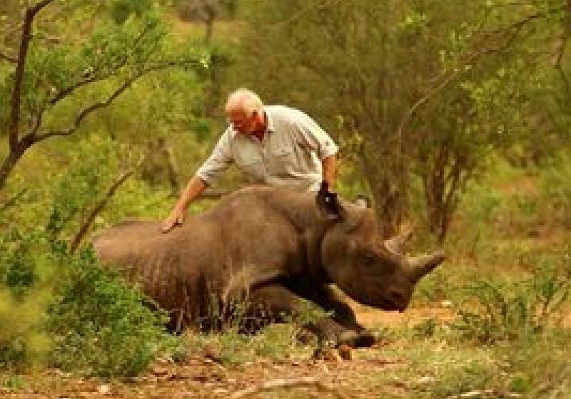 Aproape 25.000 de plante şi animale pe cale de dispariţie