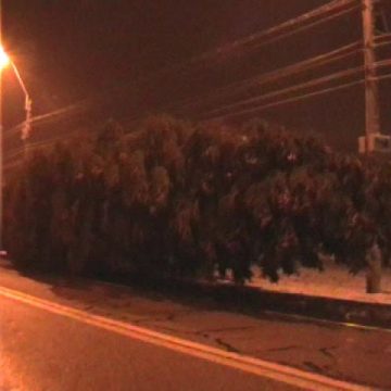 Baia Mare: Simbolul Crăciunului a ajuns în Baia Mare. Are 120 de ani, 5 tone şi 28 de metri. Bradul va fi amplasat mâine în Piaţa Revoluţiei Baia Mare: Simbolul Crăciunului a ajuns în Baia Mare. Are 120 de ani, 5 tone şi 28 de metri. Bradul va fi amplasat mâine în Piaţa Revoluţiei