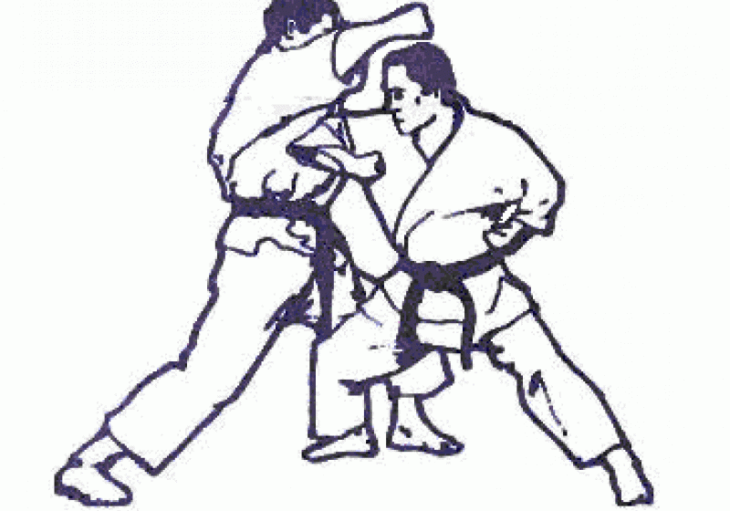 SIGHET: Campionul mondial la karate Cosmin Repa continuă seria rezultatelor foarte bune