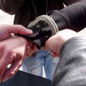 SIGHET: Angajat al unei firme din Sighet cercetat penal după ce a încercat sustragerea unui bun aparţinând unei societăţi