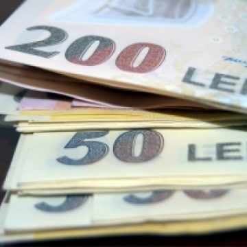 Maramureş: Şapte persoane reţinute, suspectate de o evaziune fiscală de aproape 2 milioane lei Maramureş: Şapte persoane reţinute, suspectate de o evaziune fiscală de aproape 2 milioane lei